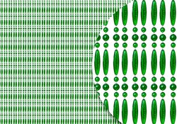 Perlen-Fliegenvorhang geordnet in Grün